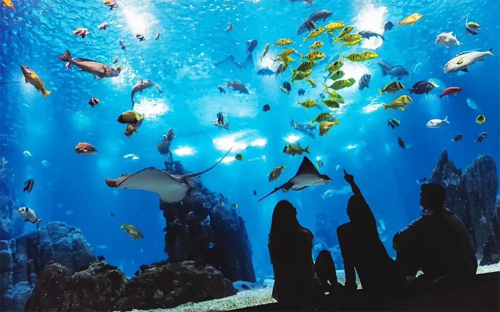 Oceanário de Lisboa - Vista Principal Vista frontal do Oceanário de Lisboa
